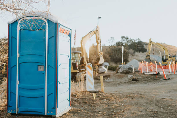 Best Affordable porta potty rental  in Flat Rock, MI