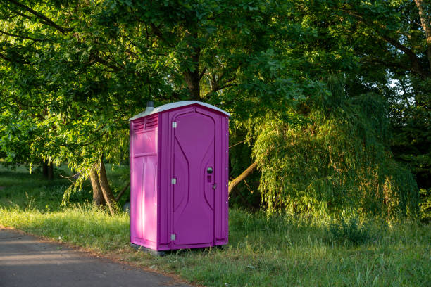 Best Affordable portable toilet rental  in Flat Rock, MI